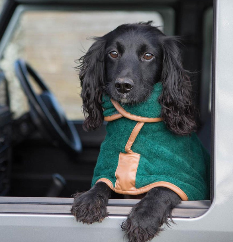 The Ultimate Pet Quick-Drying Absorbent Towel: A Must-Have for Every Pet Owner