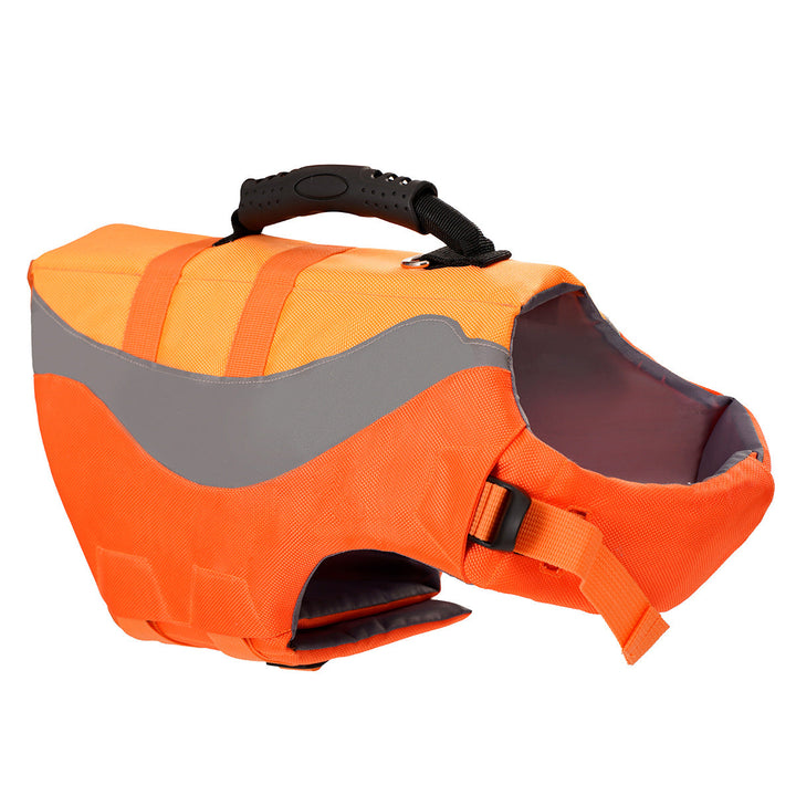 Why Every Dog Needs a Swimsuit Life Jacket