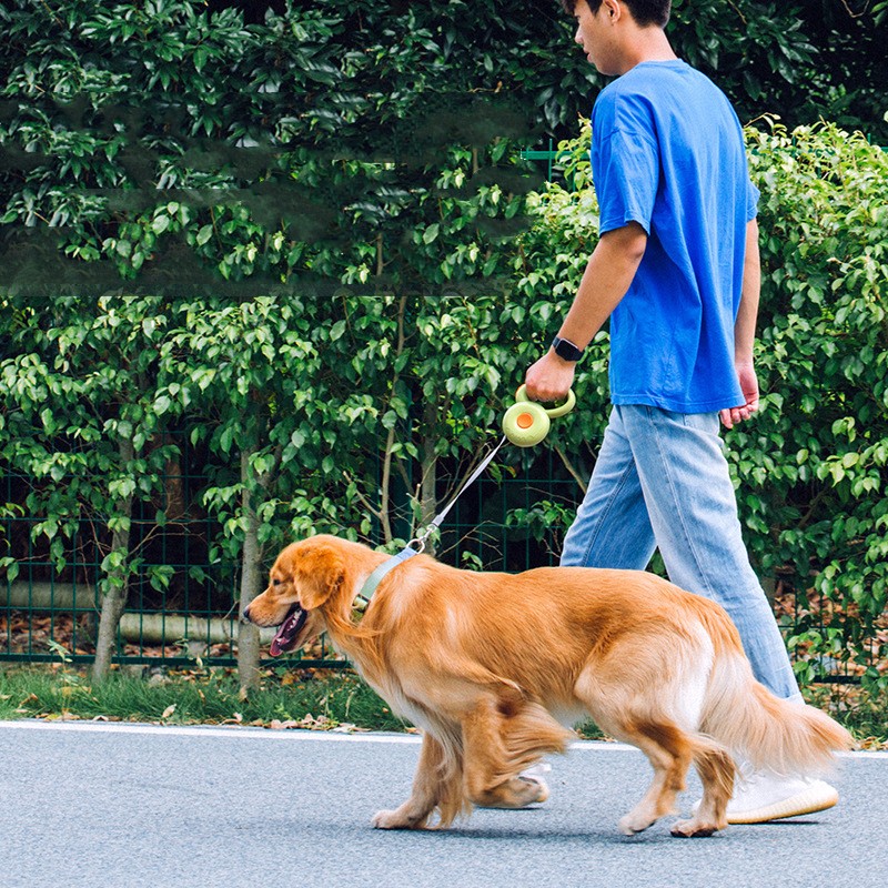 Why Your Dog Deserves the Best: Discover the Retractable Pet Leash