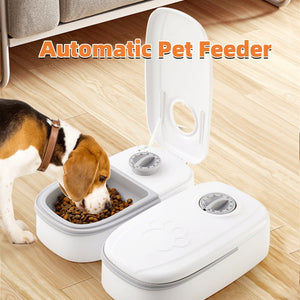 Revolutionize Your Pet's Feeding Routine with Our Automatic Pet Feeder