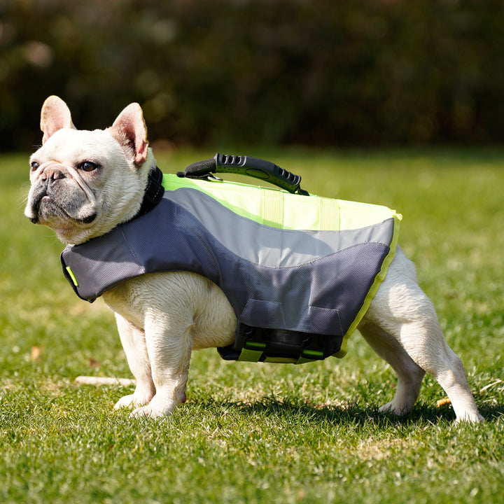 Pet Dog Swimsuit Life Jacket