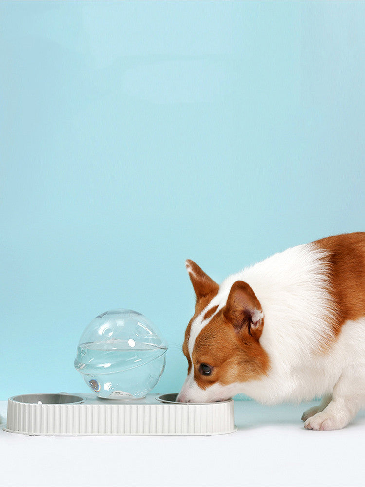 Plastic Pet Feeding Drinkers Automatic Feeder