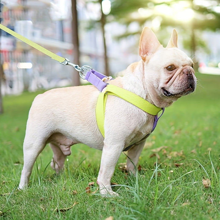Dog Harness Chest Leash Cotton