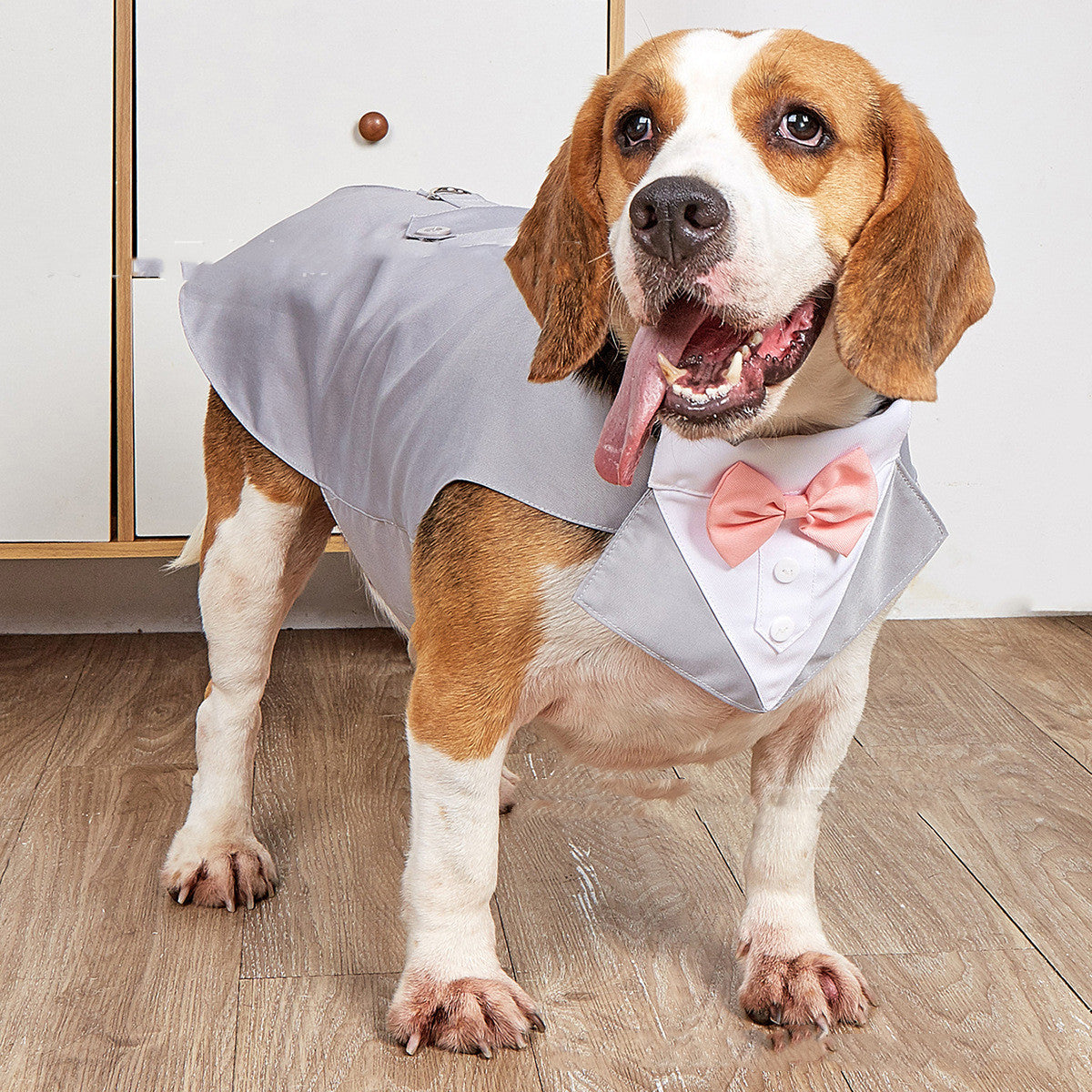 Dog Pet Swallowtail Clothing Jacket