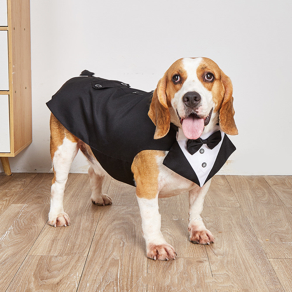 Dog Pet Swallowtail Clothing Jacket