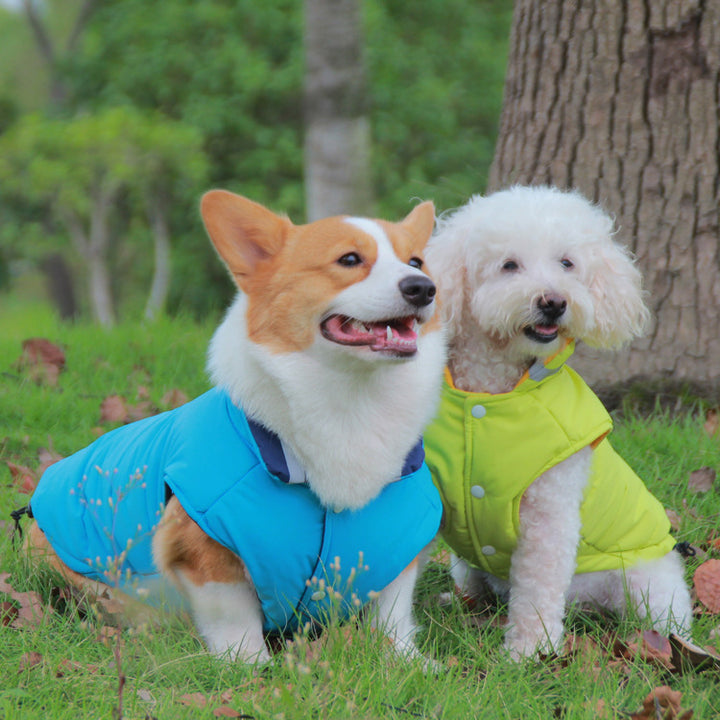 Waterproof Outdoor Pet Jacket