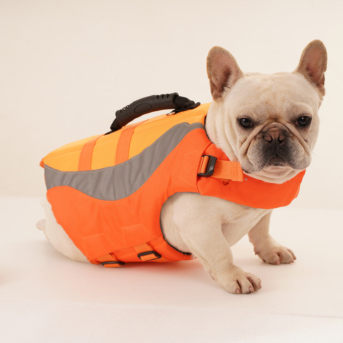Pet Dog Swimsuit Life Jacket