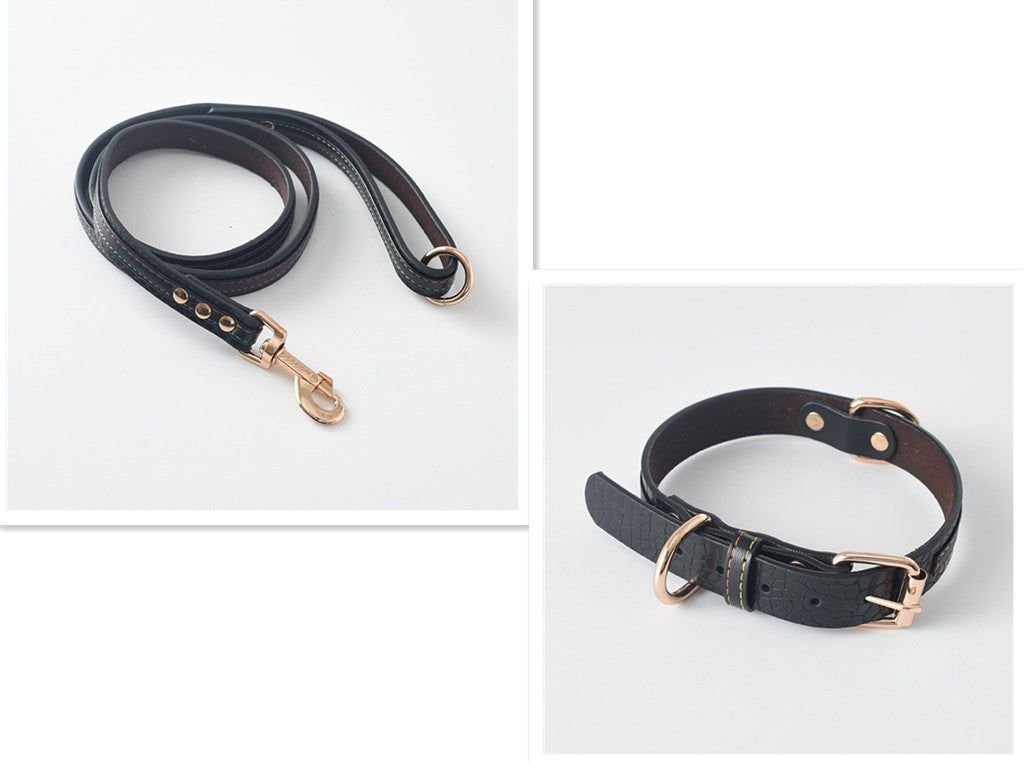 Dog Collar, Dog Leash, Dog Chain