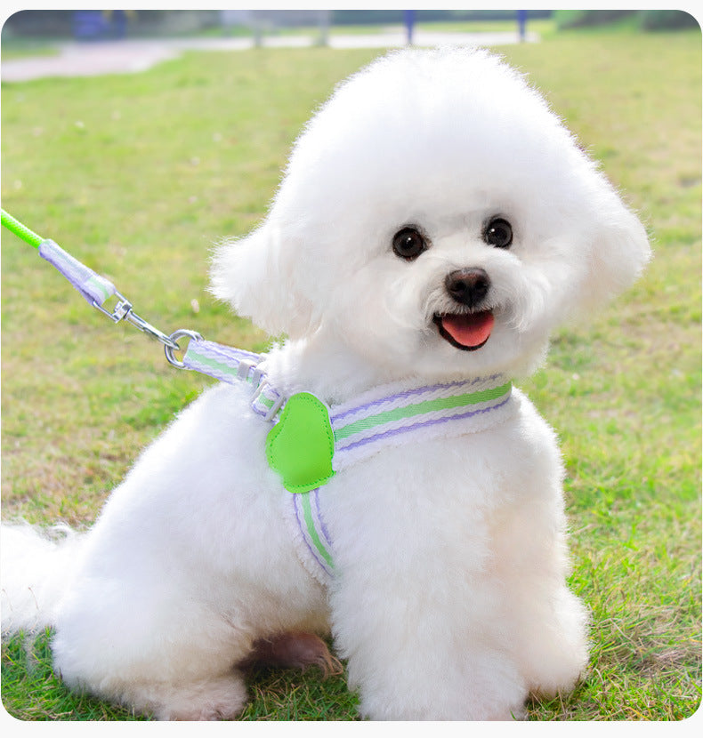 Walking Leash Small And Medium-sized Dog