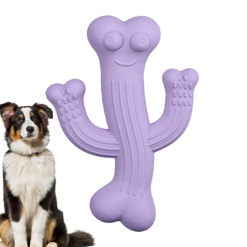 Cactus Puppy Chew Toy