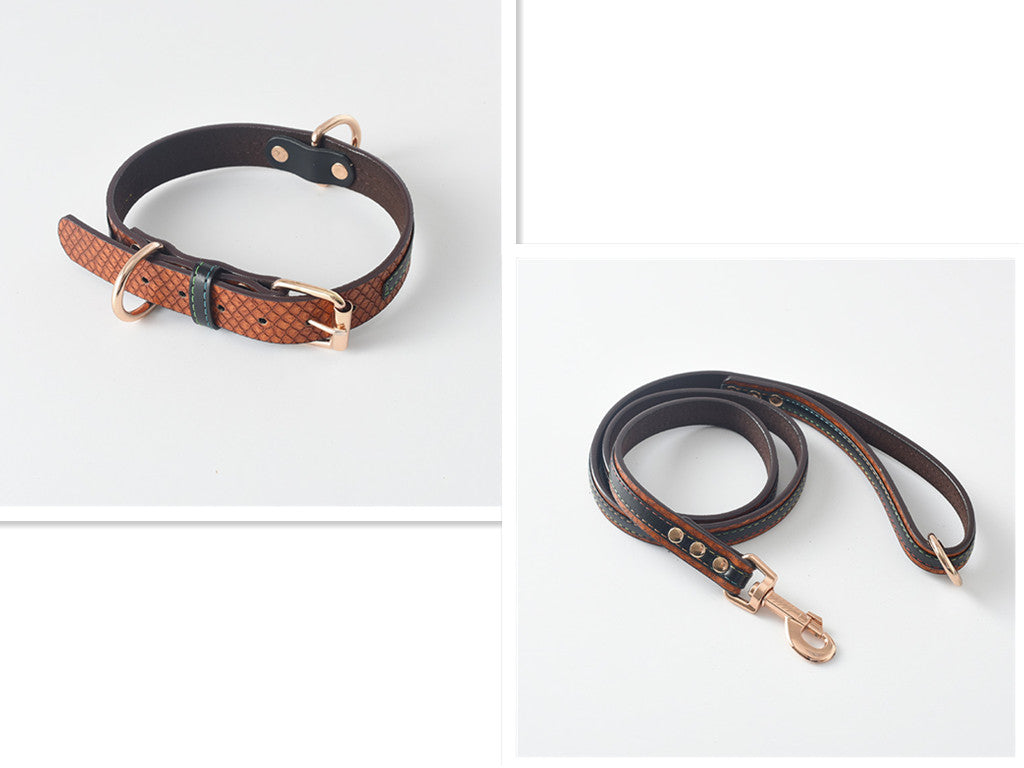 Dog Collar, Dog Leash, Dog Chain