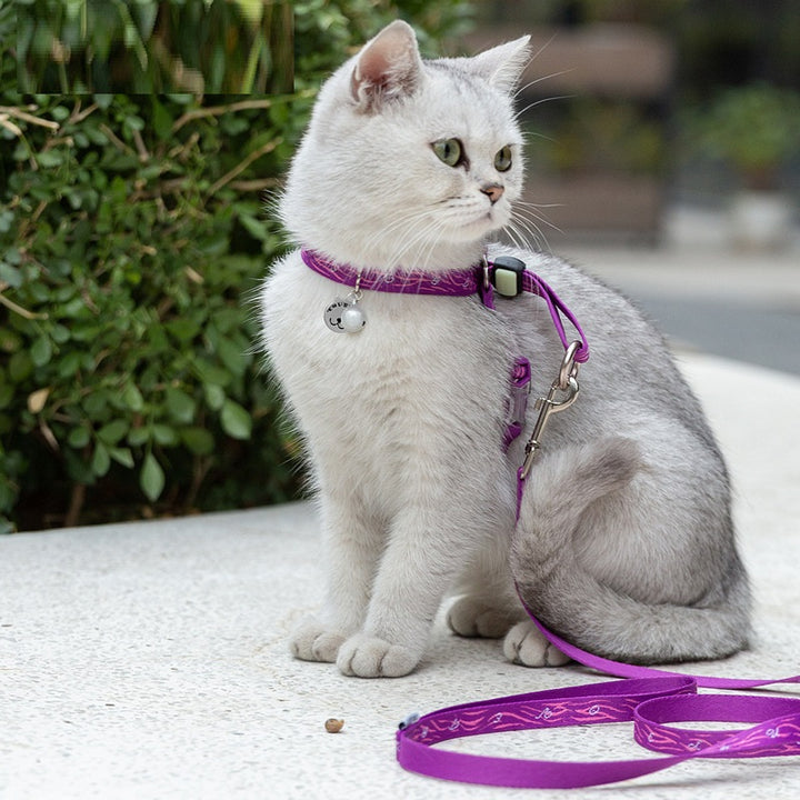 Rope Package Vest Small Dog Leash