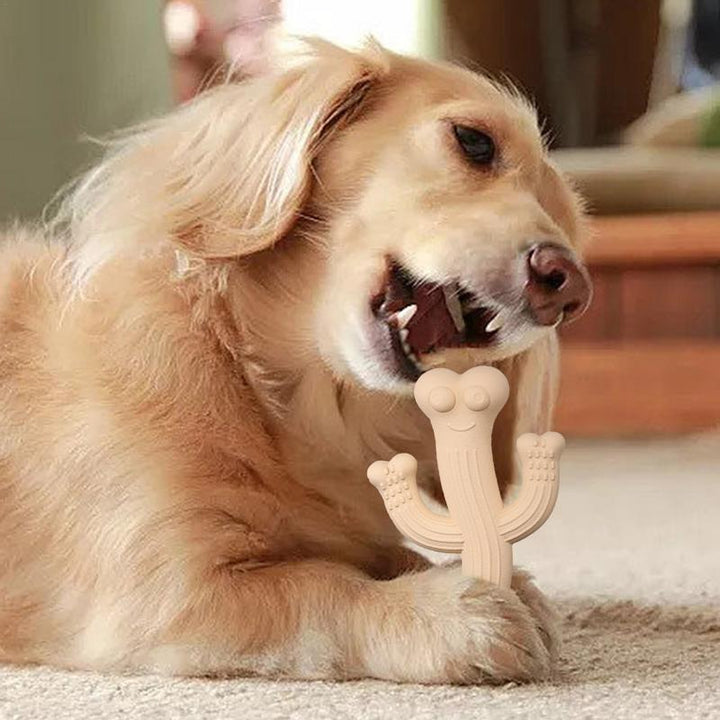 Cactus Puppy Chew Toy