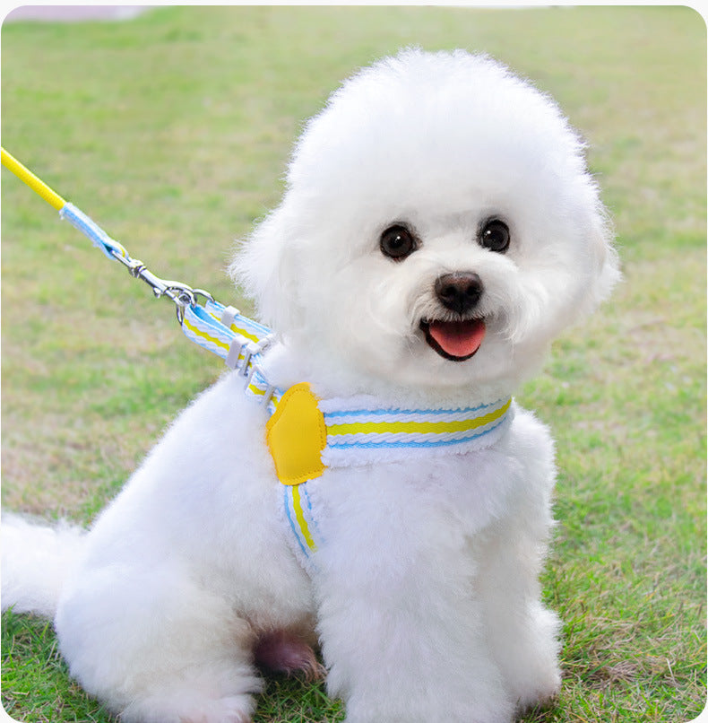 Walking Leash Small And Medium-sized Dog
