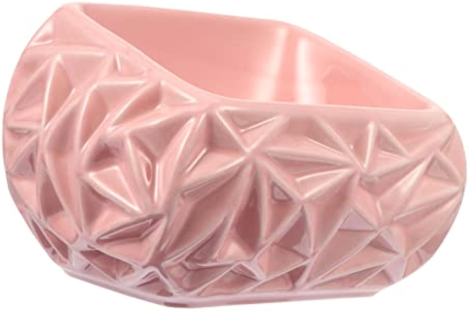 Ceramic Pet Feeding Bowl