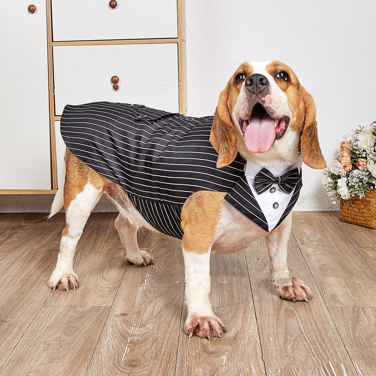 Dog Pet Swallowtail Clothing Jacket