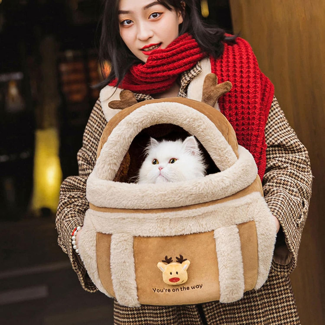 Carrier Bag Backpack Carrier Dog Travel Bag
