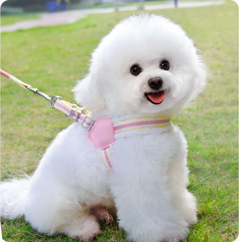 Walking Leash Small And Medium-sized Dog