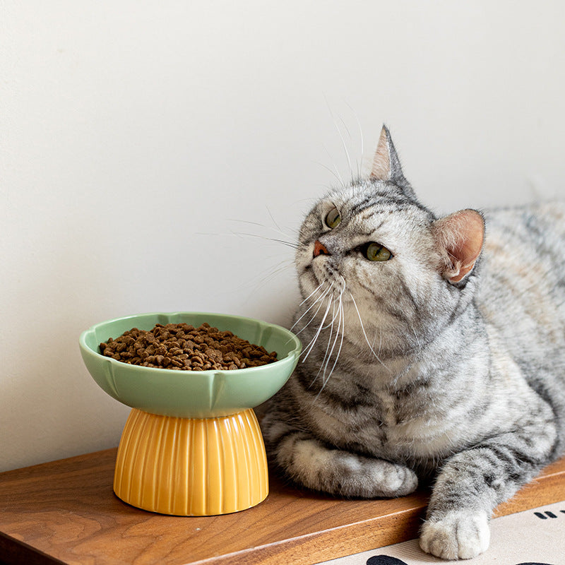 Pet Macarons Feeding Ceramic Bowl