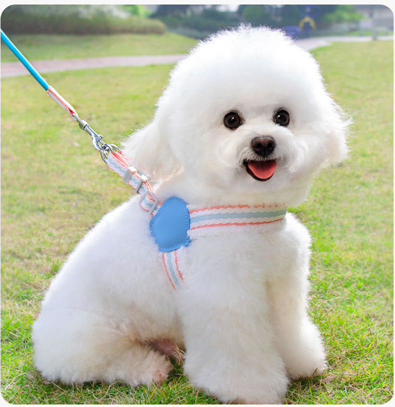 Walking Leash Small And Medium-sized Dog