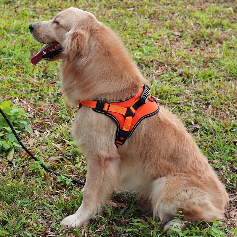 Dog Leash Explosion-proof