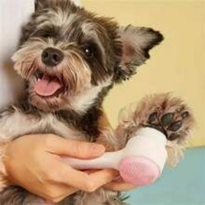 Pet Paw Brush Gentle Grooming