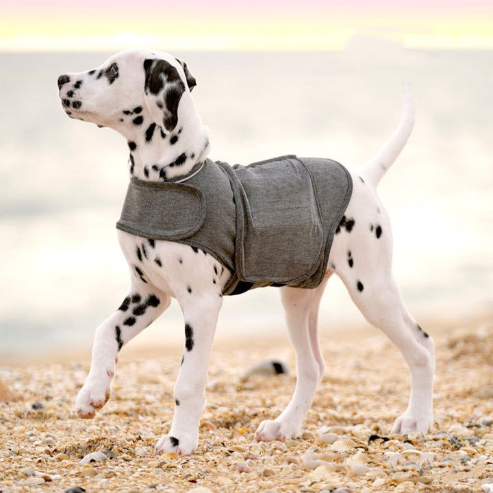 Pet Clothes Dog Anxiety Jacket
