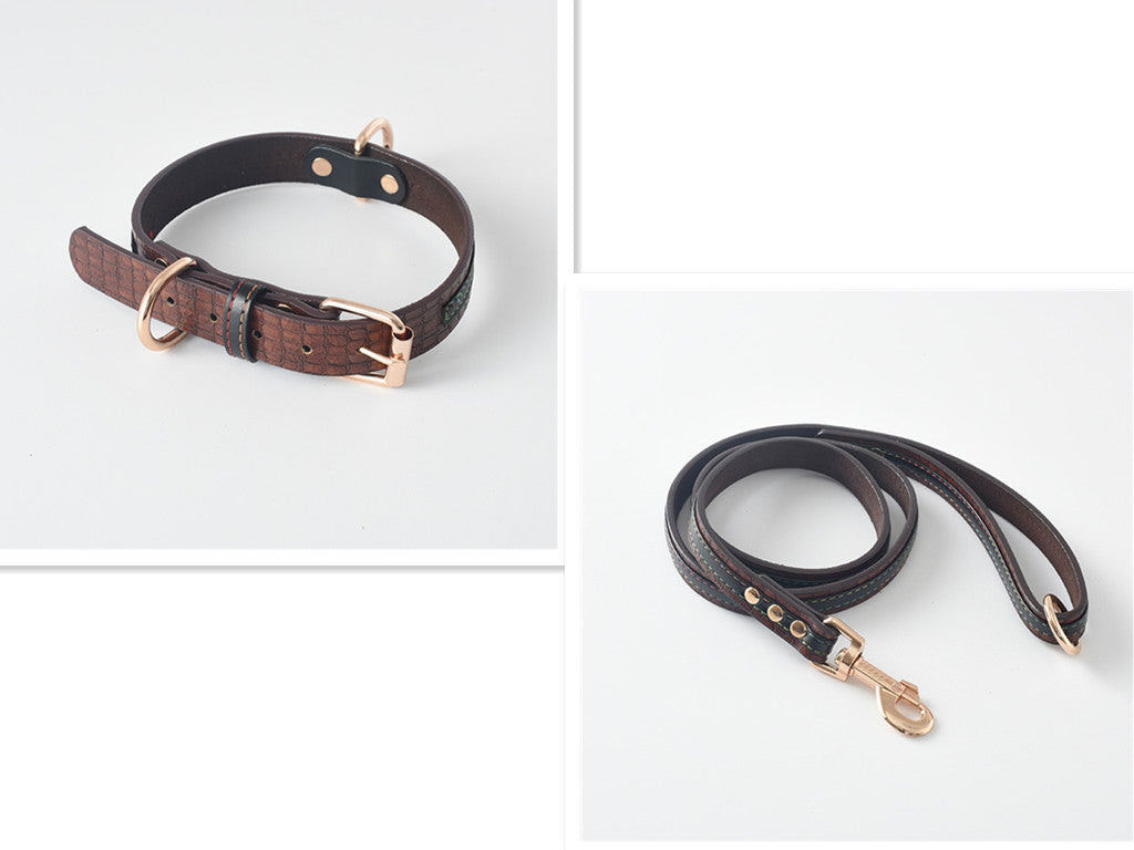 Dog Collar, Dog Leash, Dog Chain