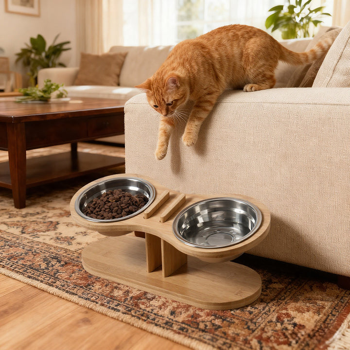 Tilted Pet Stand With A Feeding Bowl