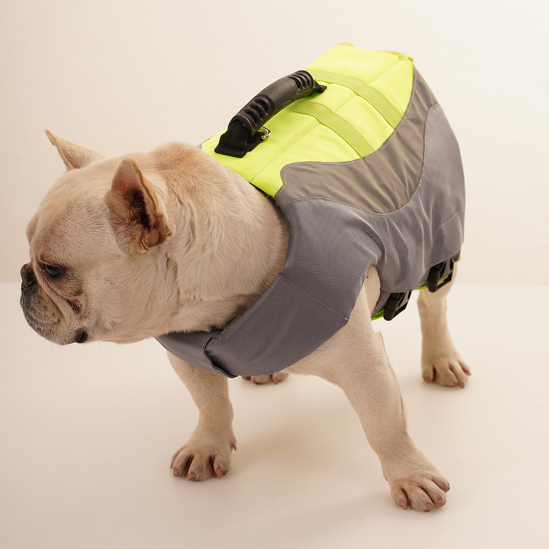 Pet Dog Swimsuit Life Jacket