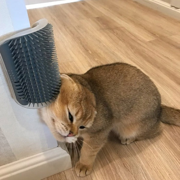 Cat Self-Grooming Brush Rubbing Device