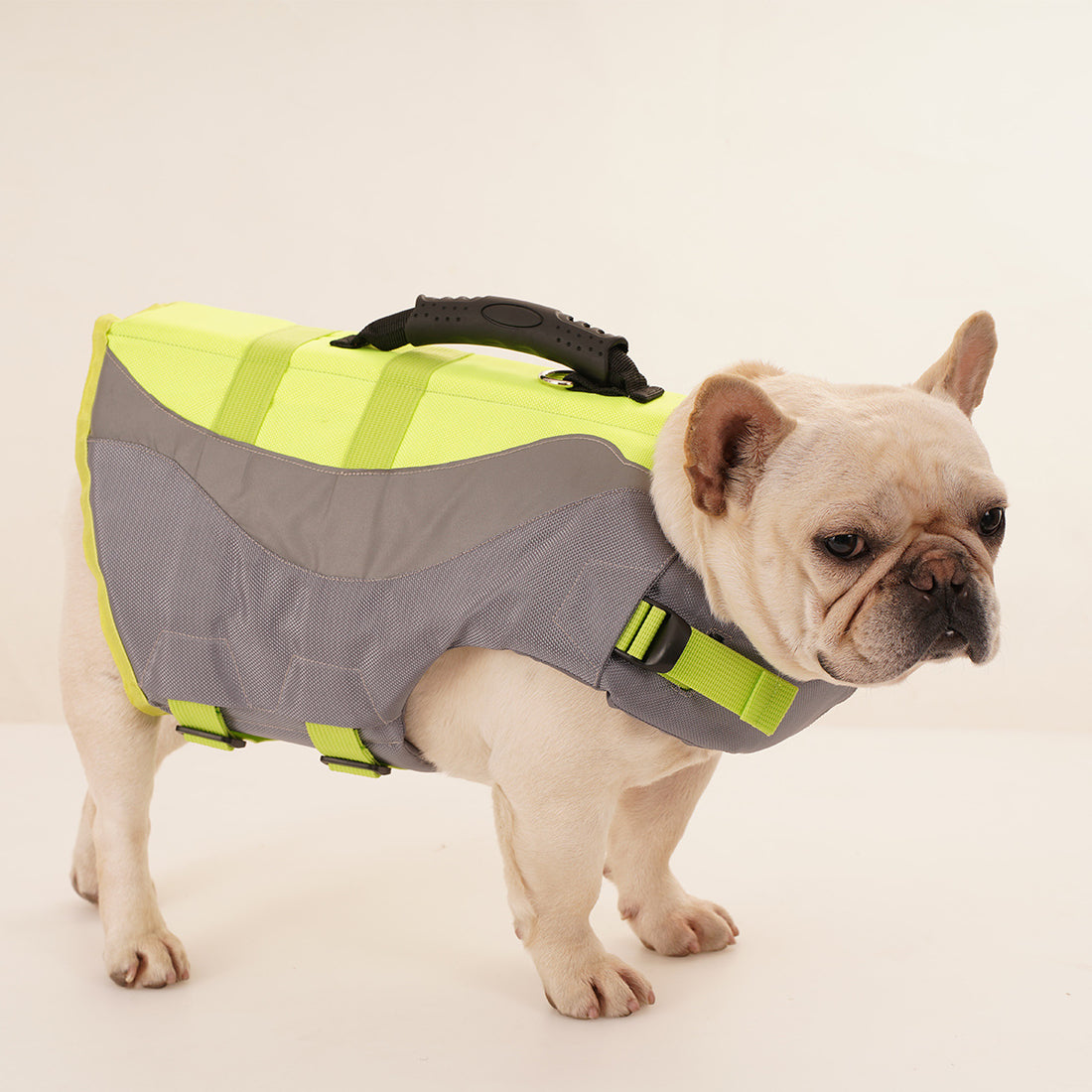 Pet Dog Swimsuit Life Jacket