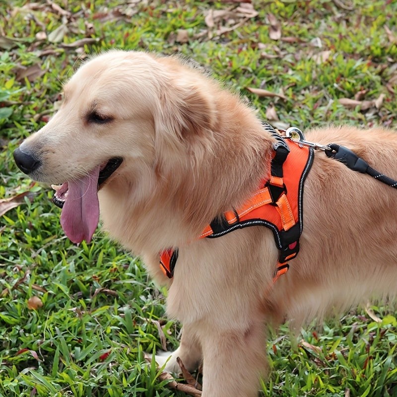 Dog Leash Explosion-proof